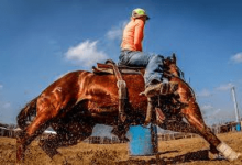 What Techniques Are Used In Barrel Racing?