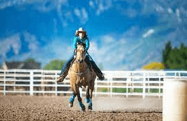 What Is The Ideal Horse Breed For Barrel Racing?