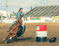 What Is The Ideal Breed Of Horse For Pole Bending?