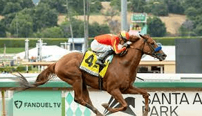 What Is The History Of Thoroughbred Horse Racing?