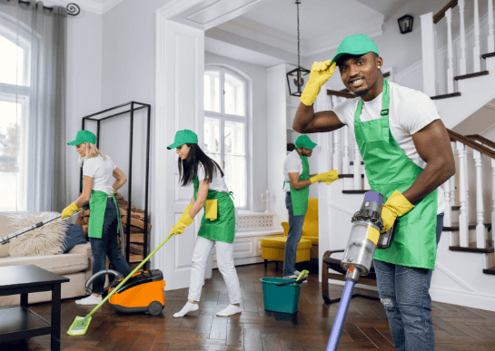 Professional Cleaning Services