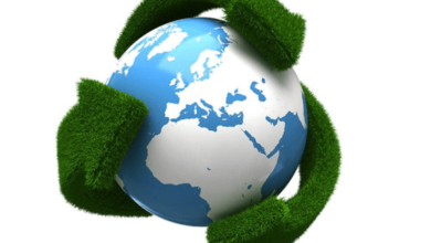 Impact of Sustainability