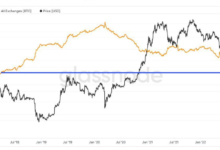 Top Insights into On-Chain Bitcoin Data: How to Decode the Blockchain in 2025