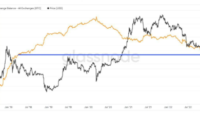 Top Insights into On-Chain Bitcoin Data: How to Decode the Blockchain in 2025