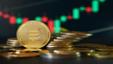 Solana ETF vs Bitcoin ETF: Key Differences and Investment Potential