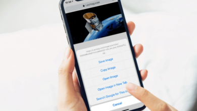 Unveiling Origins: The Power of Free Reverse Image Search