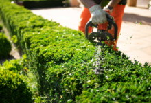 How Precision Machinery Is Reshaping Outdoor Maintenance