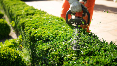 How Precision Machinery Is Reshaping Outdoor Maintenance