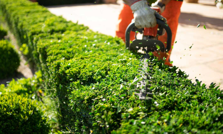 How Precision Machinery Is Reshaping Outdoor Maintenance