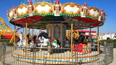 Full-Size Carousel and Ferris Wheel for Sale: A Guide to Upgrading Your Amusement Park