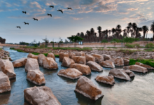 Riyadh's Hidden Gems