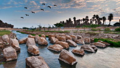 Riyadh's Hidden Gems