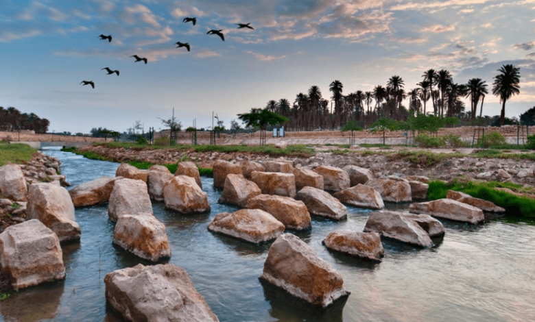 Riyadh's Hidden Gems