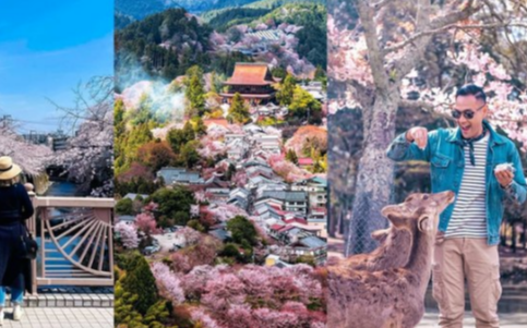 Cruising Through Japan’s Seasons from Cherry Blossoms to Autumn Leaves