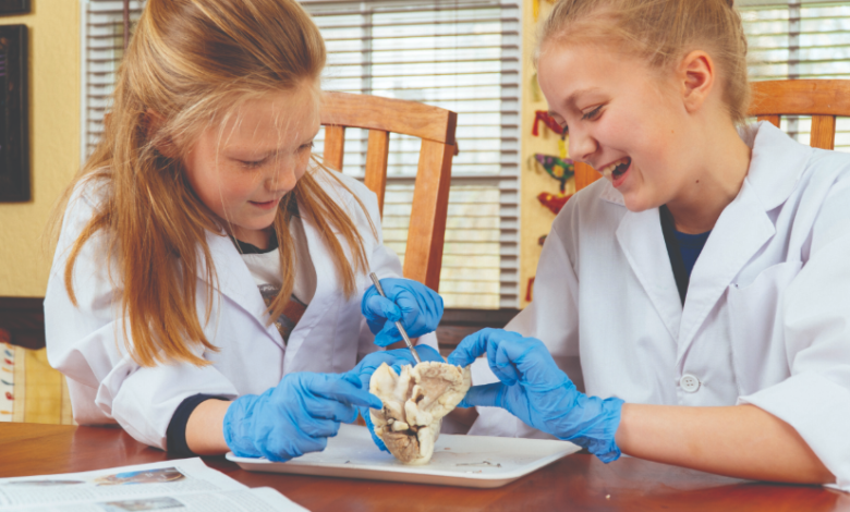 From Scalpel to Stethoscope: Importance of Dissection Kits and Top Medical Colleges in India