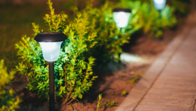 Dusk to Dawn Outdoor Lights: Ultimate Guide to Brighten Your Nights