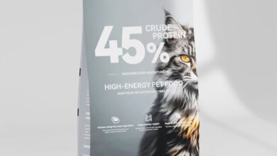 5 High-Protein, High-Fat Cat Foods for Optimal Health