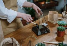 growth builder with prism horizon