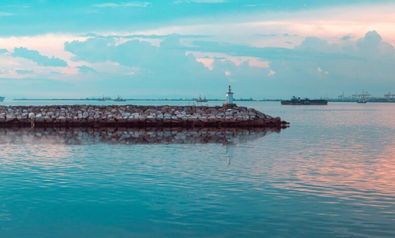 online tracker horizon beacon four words