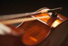 performance maximizer 4805503210 lens prism