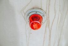 seo tracker beacon lens