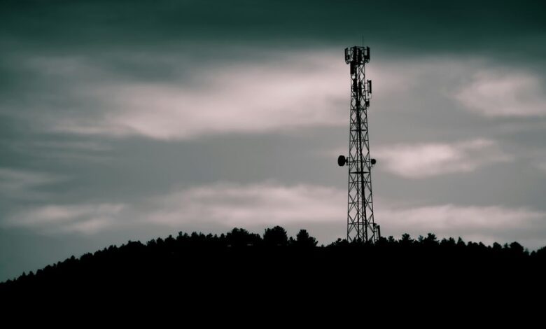 optimal brand strategy signal horizon