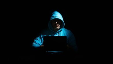 digital identity check details thealexialove luxitforward 1300360766 fetl8fe mortazilla