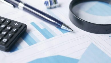 final data audit report details