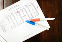 final data audit summary details