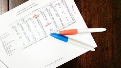 final data audit summary details