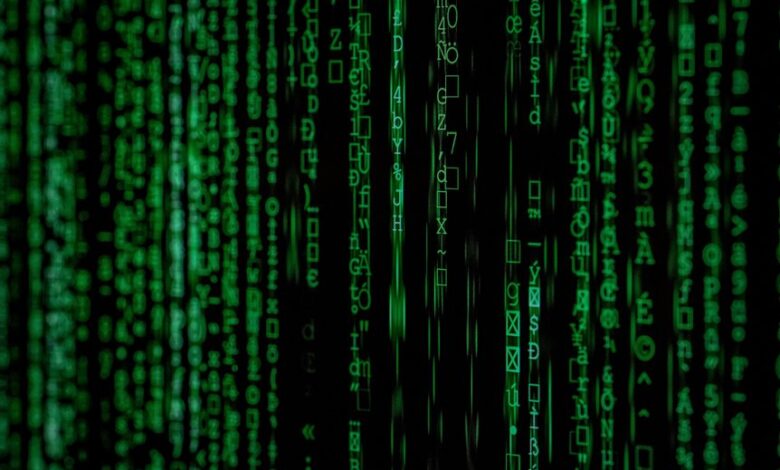 high level data flow verification