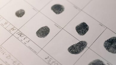 network activity record identifiers listed