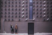 network safety observation ids listed
