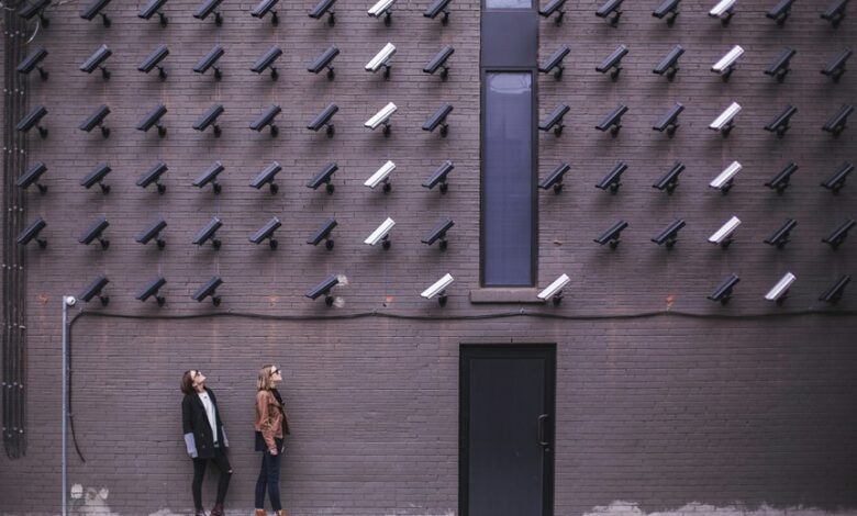 network safety observation ids listed