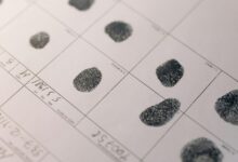 structured profile examination record identifiers listed