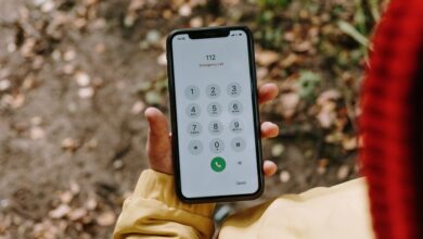 phone numbers listed for caller search