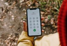 phone verification numbers list